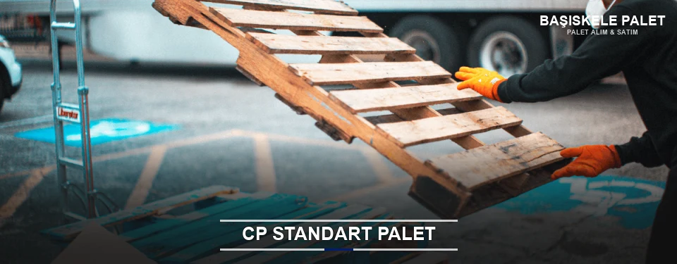 Başiskele CP Palet Çözümleri Başiskele CP Palet Çözümleri