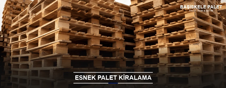 Başiskele Uygun Fiyatlı Palet Kiralama Başiskele Uygun Fiyatlı Palet Kiralama